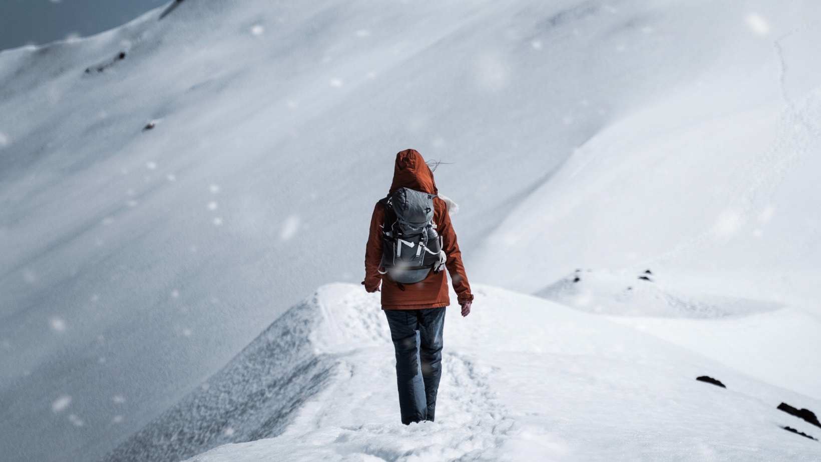Image credit: Gantas Vaičiulėnas - https://www.pexels.com/@gantas/