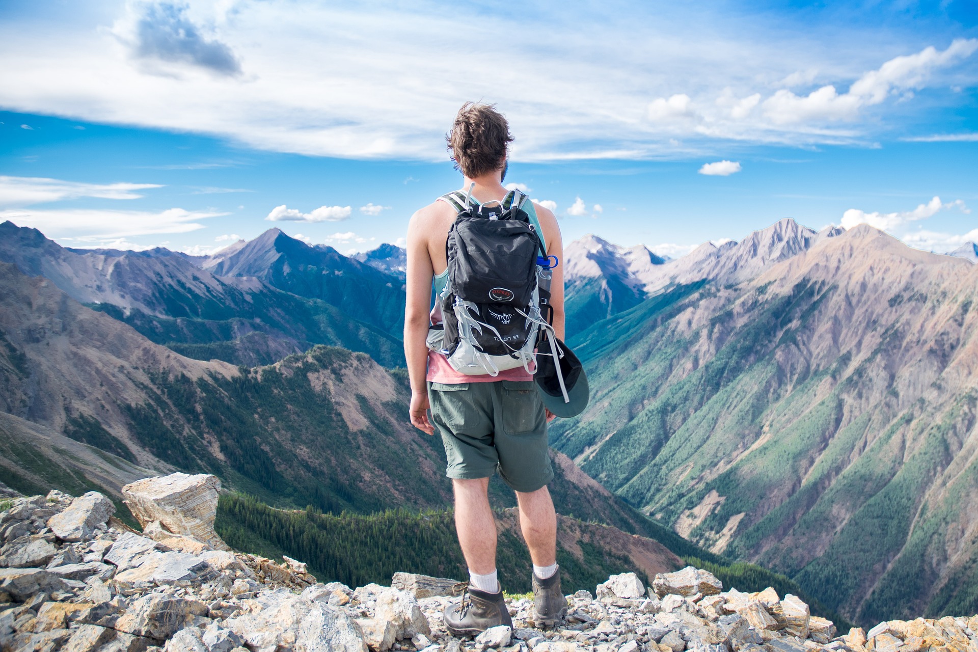https://pixabay.com/users/pexels-2286921/